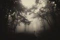 Man in dark haunted mysterious forest with fog on Halloween Royalty Free Stock Photo