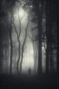 Man in dark mysterious forest with fog on Hallooween Royalty Free Stock Photo