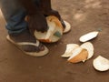 A man of dark race chops an exotic ecological fruit. View from above