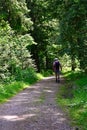 Man with daypack hiking in the Black Forest Royalty Free Stock Photo