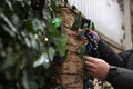 Man decorating house with Christmas lights outdoors, closeup Royalty Free Stock Photo