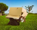 Man defends himself from the attack of mosquitoes hiding in a cardboard box