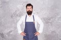 Man denim apron stylish barbershop staff bearded hipster, barber master concept