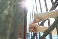 Man detained in jail outdoors. Criminal law