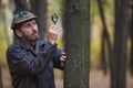 Man detective with a beard examines a tree trunk