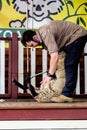 A man did a sheep shearing on a stage
