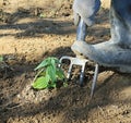 Man digging garden