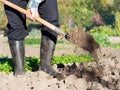 Man digging the garden soil with spade, detail Royalty Free Stock Photo