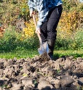 Man digging the garden soil with spade, detail Royalty Free Stock Photo