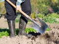 Man digging the garden soil with spade, detail Royalty Free Stock Photo