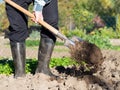 Man digging the garden soil with spade, detail Royalty Free Stock Photo