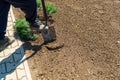 Man digging the garden. Spud the soil. Man digs a hole to plant a tree. Man loosens dirt in the farmland, gardening, agriculture Royalty Free Stock Photo