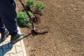Man digging the garden. Spud the soil. Man digs a hole to plant a tree. Man loosens dirt in the farmland, gardening, agriculture Royalty Free Stock Photo