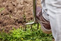 Man is digging with a gardening fork in his garden