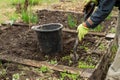 A man is digging a shovel soil in the garden