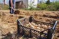 Man digging soil, land with shovel, making garden beds for spring planting of potatoes. Good harvest. Family farming, self