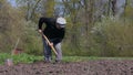 Man diging ground in garden. A man planting potatoes in the coffin.