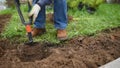 Man diging holes a shovel for planting juniper plants in the yard or garden. Landscape design. Landscaping.