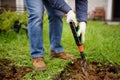 Man diging holes a shovel for planting juniper plants in the yard or garden. Landscape design