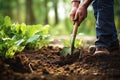 A man digs in the garden with a shovel Royalty Free Stock Photo