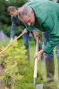 Man digs hole in ground for planting trees Royalty Free Stock Photo