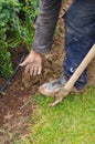 Man digs a hole to plant a tree