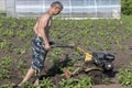 Man dipps potatoes with agromashine motorcultivator. Bashkortostan, Russia - 12 June, 2021.