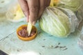 A man dips a slice of green mango into bagoong, a condiment made with fermented fish, krill or shrimp paste Royalty Free Stock Photo
