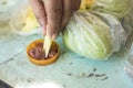 A man dips a slice of green mango into bagoong, a condiment made with fermented fish, krill or shrimp paste