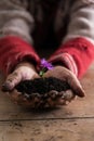 Man with dirty hands holding a purple flower in a soil Royalty Free Stock Photo
