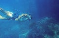 Man diving in deep blue sea. Young snorkel swims underwater. Male snorkel in tropical lagoon undersea photo