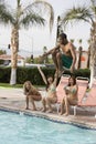 Man Diving Into The Pool Royalty Free Stock Photo