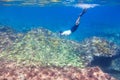 Man diving towards fish school Royalty Free Stock Photo
