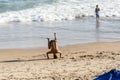 A man does Yoga exercises on the sand of beach while other people walk by Royalty Free Stock Photo