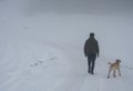 A man and dog from behind walking in snow Royalty Free Stock Photo