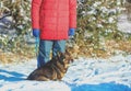 A man with a dog walks outside in a pine forest Royalty Free Stock Photo