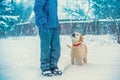 A man with a dog walks in a village in a snowy winter Royalty Free Stock Photo