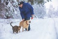 Man with dog and cat walking in a snowy forest Royalty Free Stock Photo