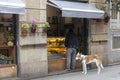 A man with a dog chooses food in a street Chinese food stall