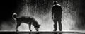 Man and Dog in Dramatic Rainfall Scene Representing Solitude and Reflection Royalty Free Stock Photo