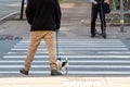 A man with a dog and a man with an electric scooter at a pedestrian crossing, lower section Royalty Free Stock Photo