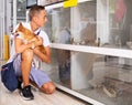 Man with dog with interest looking at small aquarium with mouses Royalty Free Stock Photo