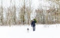 Man with dog on a leash walking in snowy pine forest in winter with Christmas tree in hands Royalty Free Stock Photo