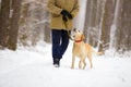 Man with dog walks in snowy forest Royalty Free Stock Photo