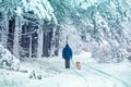 A man with a dog walks through a snowy forest Royalty Free Stock Photo