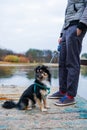 Man dog owner and his friend dog are standing on the wooden pier near lake and enjoying the landscape during their walking Royalty Free Stock Photo