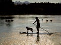 Man, Dog on Paddle Board, Oregon Royalty Free Stock Photo