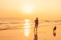 A man and a dog running on the beach and sunset, sunrise Royalty Free Stock Photo