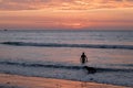 Man and dog silhouette at Beautiful sunset in Mancora Beach - Mancora, Peru