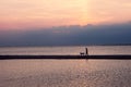 Man with dog on sunset background. St. Petersburg. Russia. radiance of lights, panorama of the city. landscape, on the background